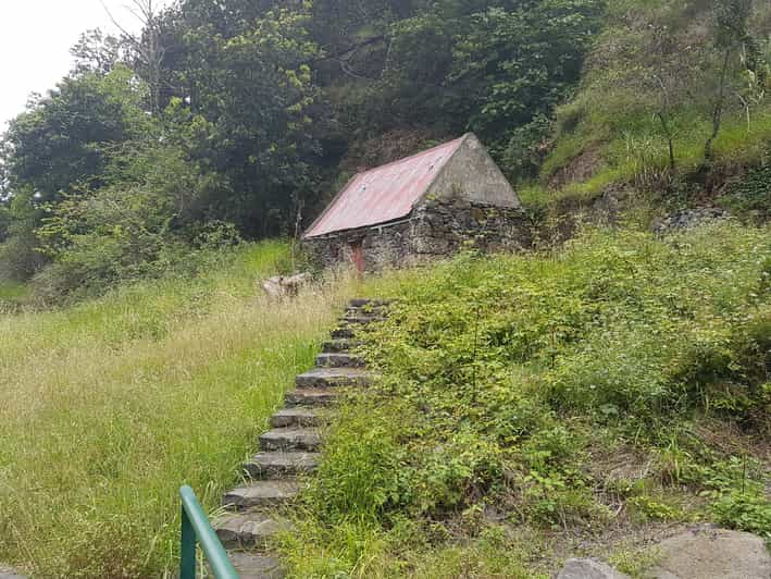 Madeira Private Guided Levada Nova Tabua Walk Getyourguide