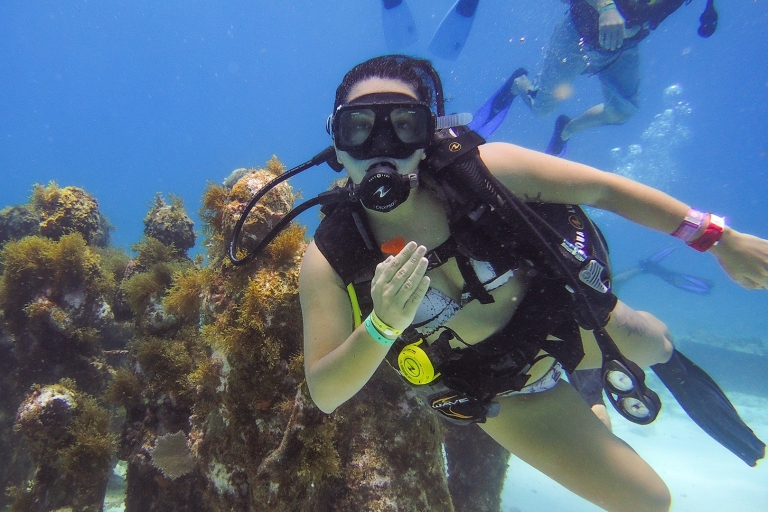 Cancún: podwodne muzeum i nurkowanie na rafie