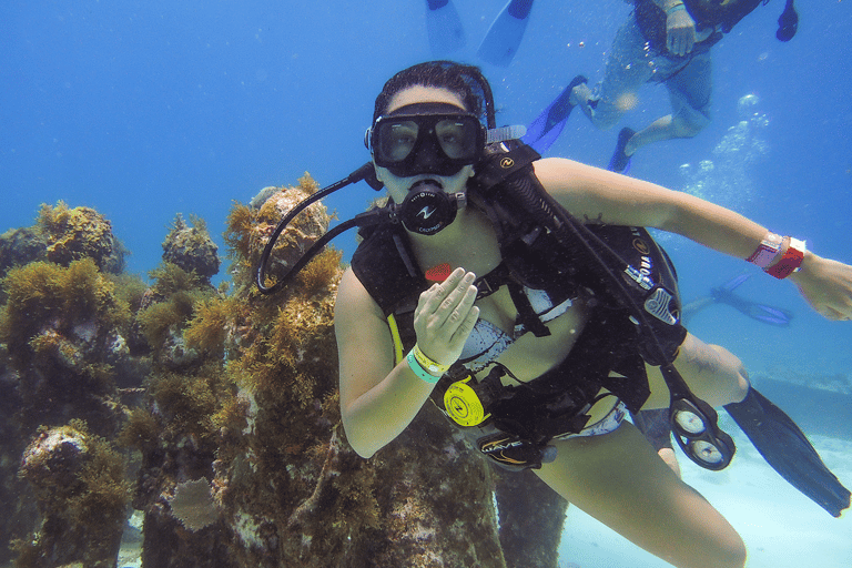 Cancún: museo subacuático y buceo en arrecifes