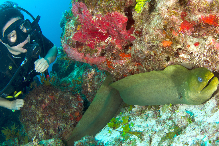 Cancún: museo subacuático y buceo en arrecifes