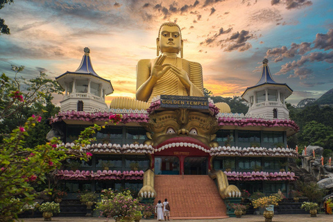 Sigiriya: excursão de um dia ao templo da caverna de Dambulla saindo de Colombo