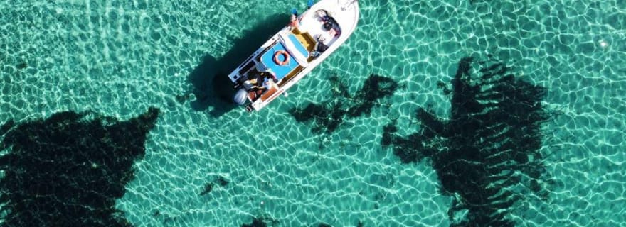 Depuis Stintino : excursion en bateau vers Asinara avec apéritif