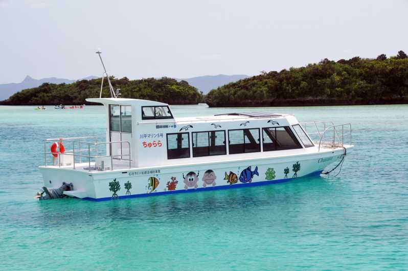coral reef boat tour