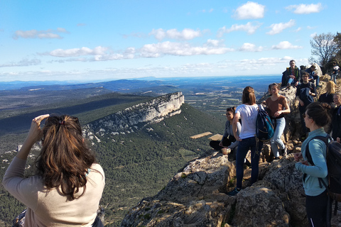 Z Montpellier: wycieczka Pic Saint Loup z panoramicznymi widokami