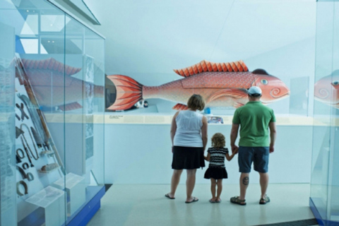 Toronto: Royal Ontario Museum Special Exhibits VoucherGeneral Admission and &#039;Wild Cats&quot;