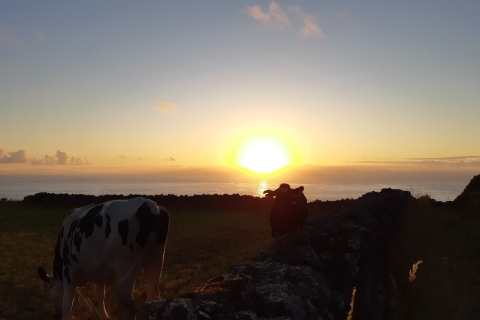 Visite de ferme laitière et expérience de traite de vache aux AçoresVisite du matin (08h30)