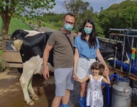 Dairy farm Visit and Cow Milking Experience in Azores - Housity