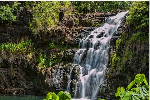 Oahu Hidden Gems & Waimea Botanical Garden/Waterfall tour