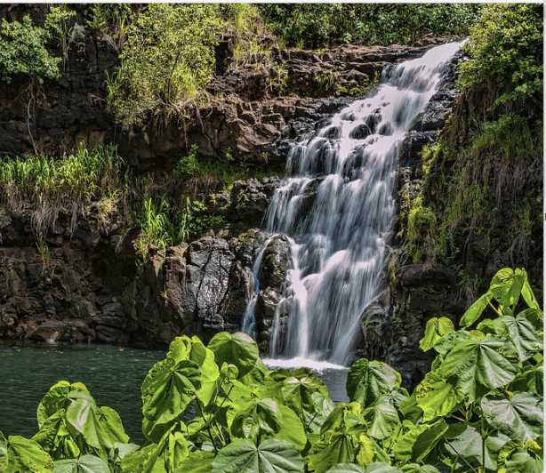 Oahu Hidden Gems & Waimea Botanical Garden/Waterfall tour