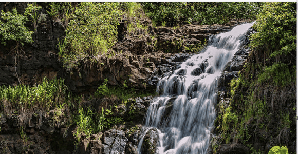 Oahu Hidden Gems & Waimea Botanical Garden/Waterfall tour