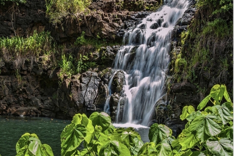 Oahu Hidden Gems & Waimea Botanical Garden / Waterfall Tour