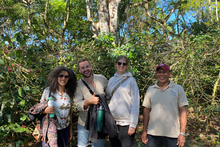 Boquete, Panama : visite interactive du café de spécialité