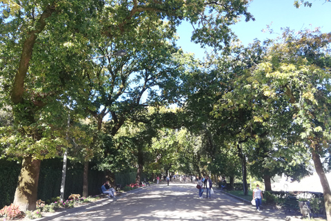 Santiago de Compostela: Walking Tour of the Old Town