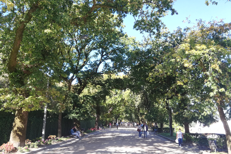 Santiago de Compostela: Walking Tour of the Old Town