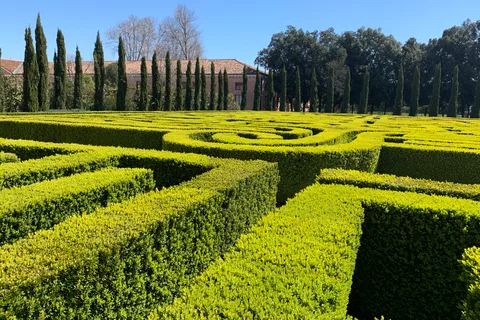 Borges Labyrinth Experience on San Giorgio Island