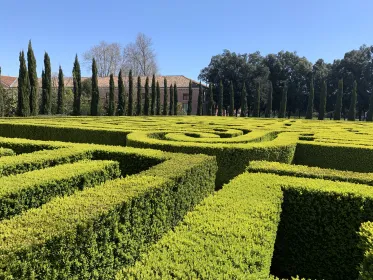 Venedig: Entdecke Borges Labyrinth mit Eintritt und Audioguide