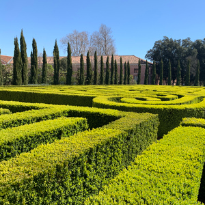 Venice: Borges Labyrinth Experience on San Giorgio Island