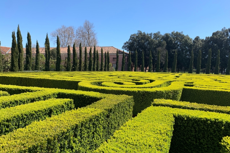 Venedig: Borges Labyrinth-Eintritt und Audioguide-Tour