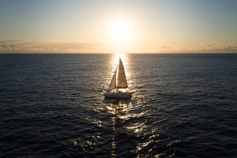 Grand Baie: 4-uur durende cruise bij zonsondergang en dinerStandaard optie