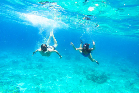 Split: Lagoa Azul, Hvar e 5 Ilhas Tour em pequenos grupos de barco