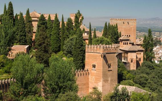 Ab Almeria: Private Tour durch Granada und den Alhambra-Palast