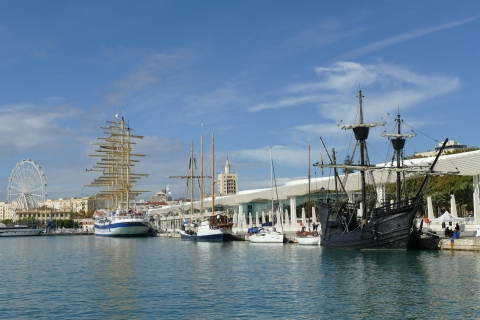 Desde el puerto de Motril: tour privado y excursión en tierra en MálagaDesde Motril: tour privado y excursión en tierra en Málaga