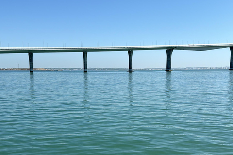 Amazing 2-hour boat tour of the Bay of Cadiz Amazing 2-hour boat tour of Cadiz Bay