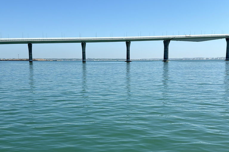 Amazing 2-hour boat tour of the Bay of Cadiz Amazing 2-hour boat tour of Cadiz Bay