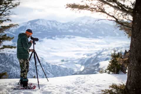 From Gardiner: Yellowstone Wildlife Watching Tour with Meals