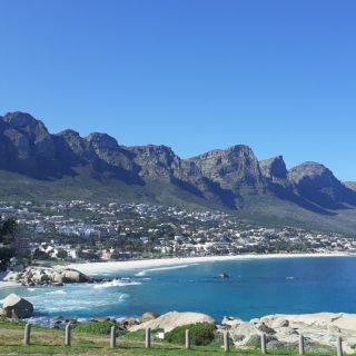 Cape Town: Halfday African Penguin tour