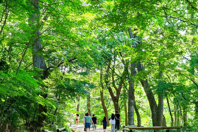 From Busan: Gyeongju Ancient Capital Day Tour