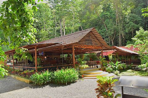 Jaco Beach: Full-Day ATV, Zip Line, and Horse Riding w/Lunch Herradura: Full-Day ATV, Zip Line, and Horse Riding w/Lunch