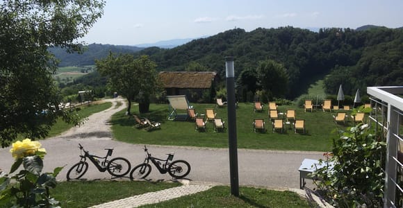 Vuglec Breg: E-Bike-Tour zu Schlössern mit Weinprobe