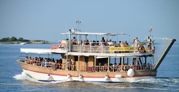 Ab Poreč: Abendliche Delfin-Bootsfahrt mit Begrüßungsgetränk