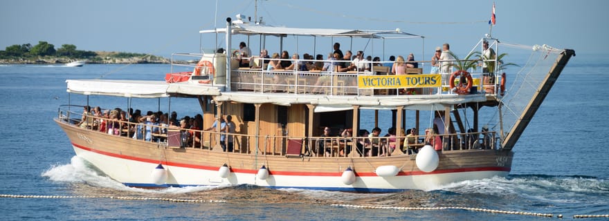 Au départ de Poreč : Croisière nocturne des dauphins avec boisson de bienvenue