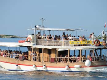 From Poreč: Evening Dolphin Cruise with Welcome Drink