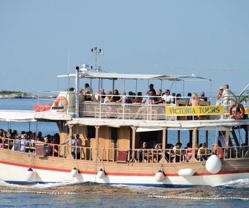 From Poreč: Evening Dolphin Cruise with Welcome Drink