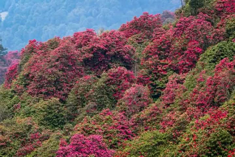 Pokhara: Hidden Paradise 3-Day Trek to Mohare Hill