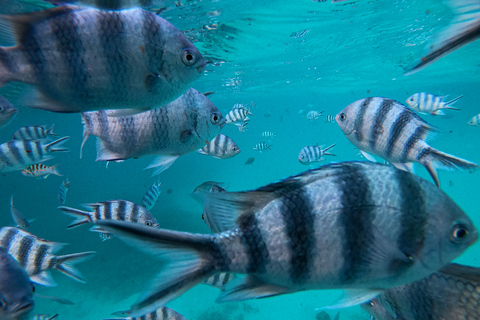 Blue Bay Mauritius: snorkel Blue Bay met boot met glazen bodem