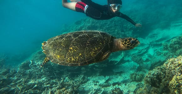 Blue Bay Marine Park - 2-hour Snorkeling Excursion