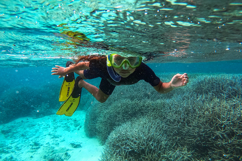 Blue Bay Mauricio: snorkel en Blue Bay con barco con fondo de cristal