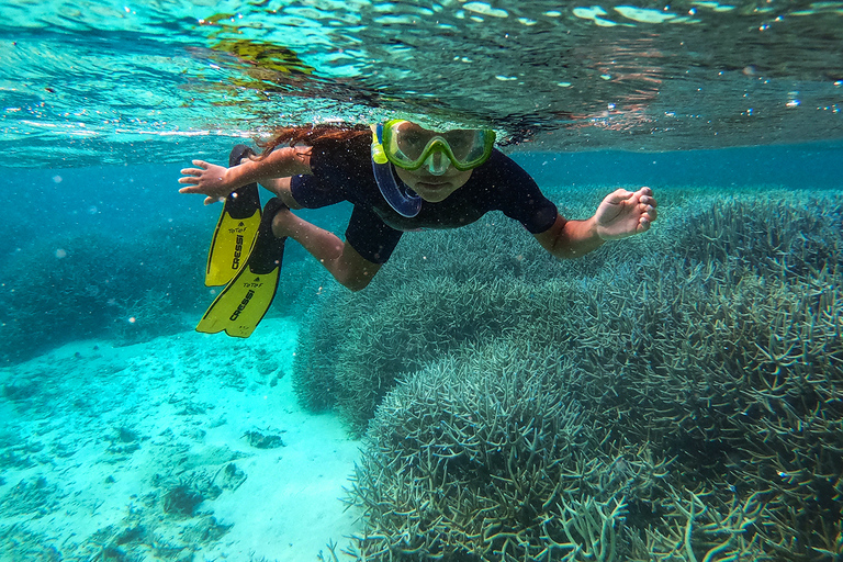 Blue Bay Mauricio: snorkel en Blue Bay con barco con fondo de cristal