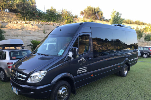 Minibussresa från Neapel: Sorrento, Positano och Amalfi på 8 timmar