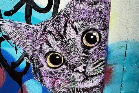 Denver: RiNo Street Art Stroll - Guided Art Walking Tour