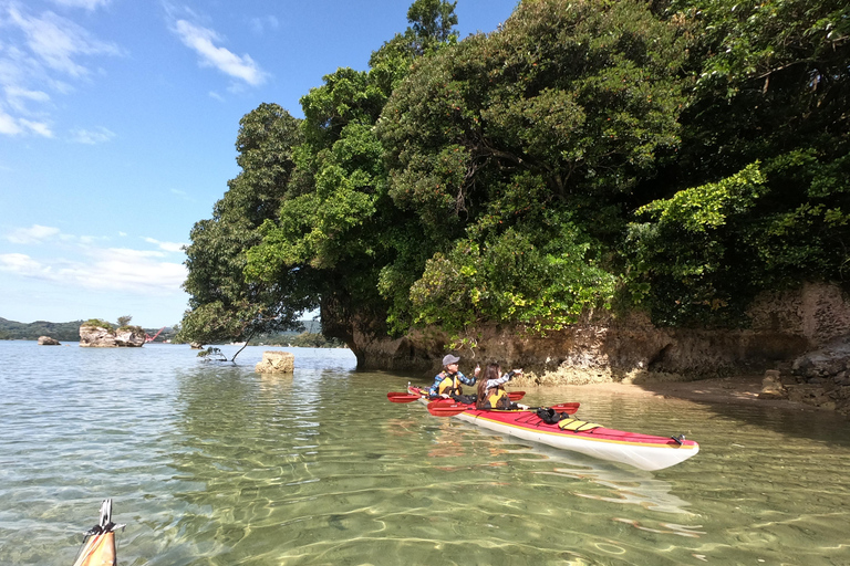 Okinawa: Private Full Circle Island Kayak Tour in English