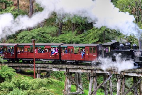 Melbourne: Puffing Billy & Healesville Sanctuary Scenic Tour