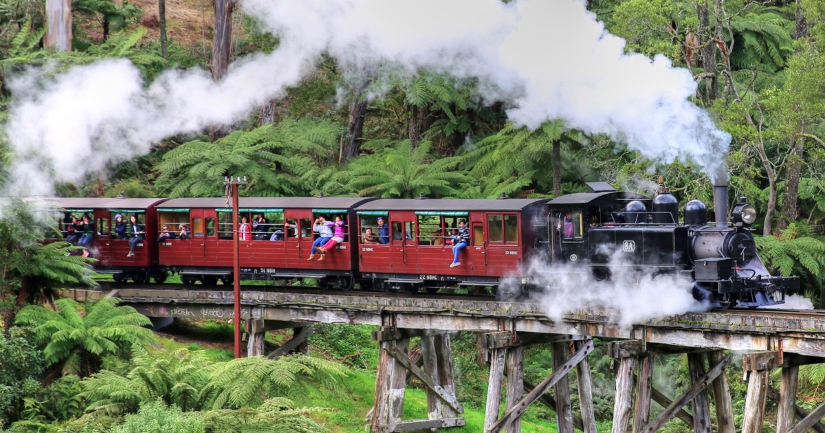 puffing billy tour package