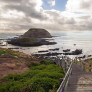 Phillip Island Wildlife & Brighton Beach Boxes Private Tour