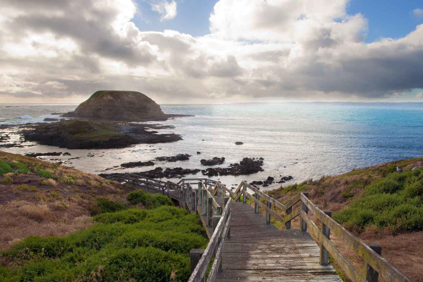 Phillip Island Wildlife & Brighton Beach Boxes Private Tour - Phillip Island Wildlife & Brighton Beach Boxes Private Tour