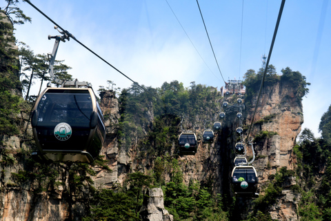 Zhangjiajie: Excursão particular à montanha Tianmen e ao parque florestal